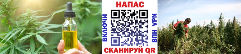 Cannafood марихуана  Купить закладки  Николаевск-на-Амуре 