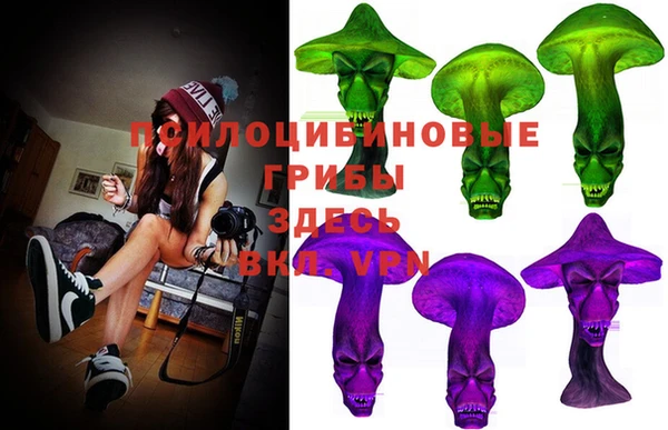 эйфоретик Медногорск